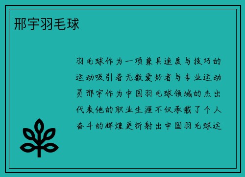 邢宇羽毛球